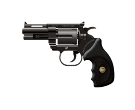 gun investigator services JHB