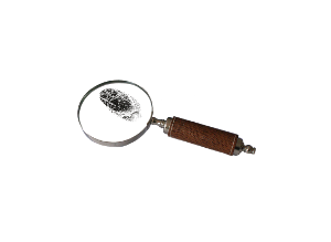 extortion blackmail investigator detective